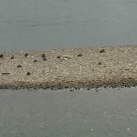 Ensen דירה קלן