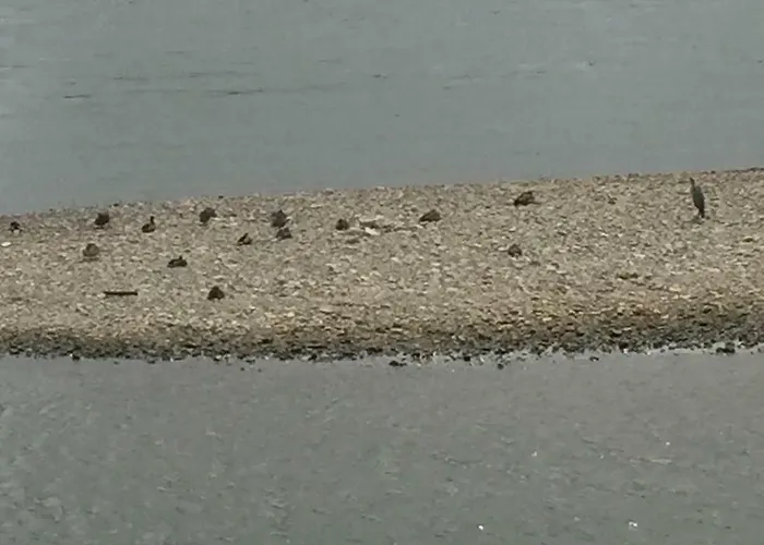 Ensen 아파트 쾰른